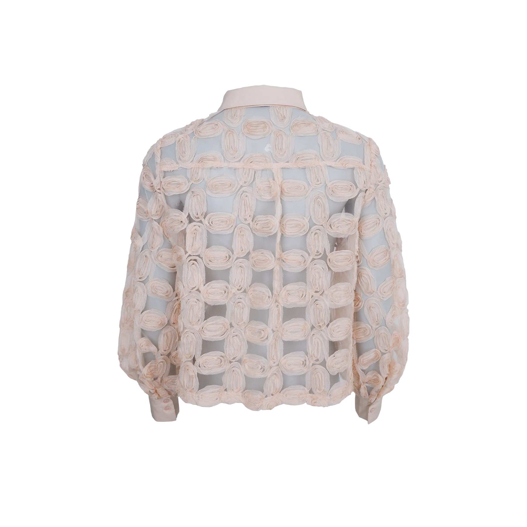 Black Colour BCViolet Shirt - Champagne